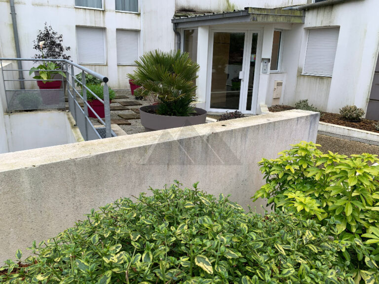 43221381n