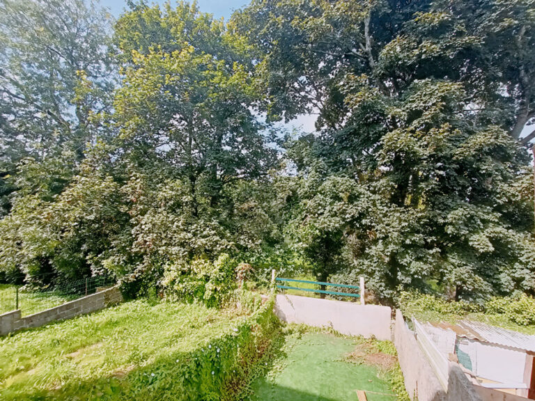 56182824o-3
