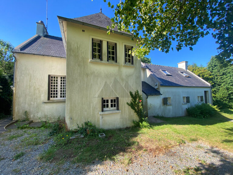 59033633n