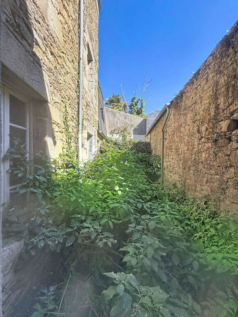 61588681n